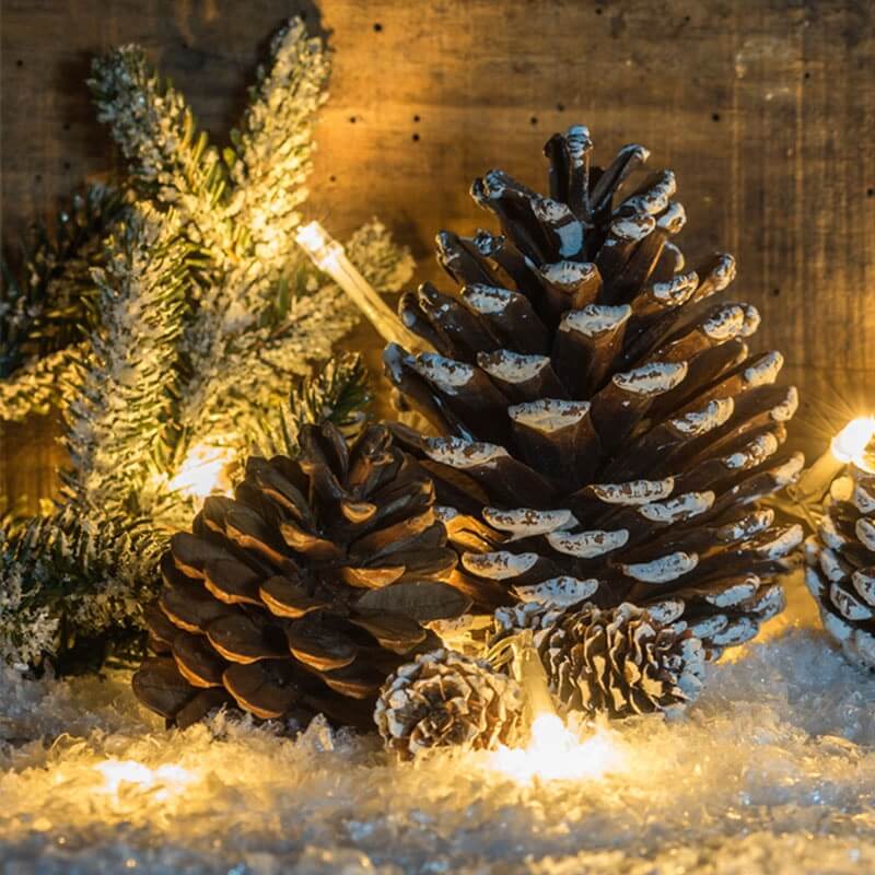 Jak dbać o lampki choinkowe, żeby służyły Ci przez wiele lat2-min