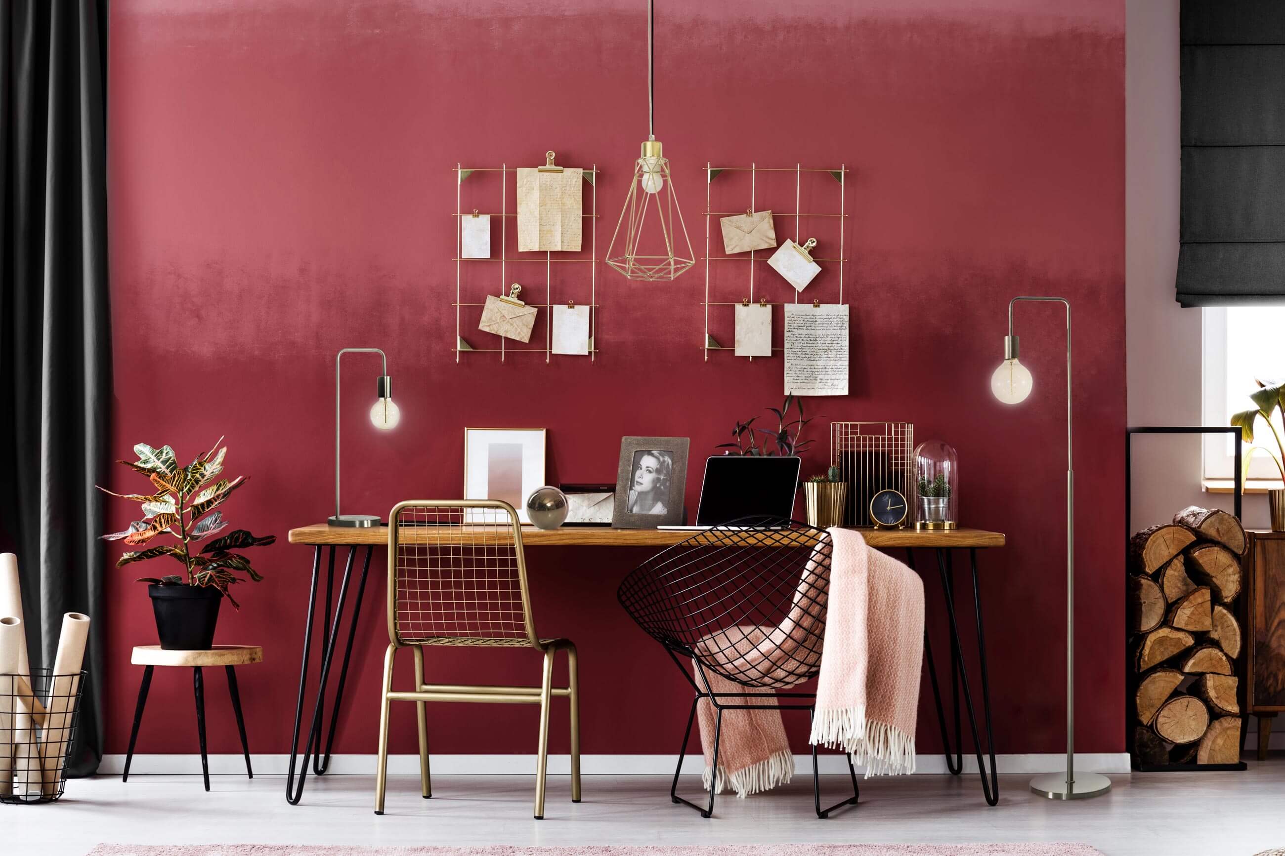 photography backdrop