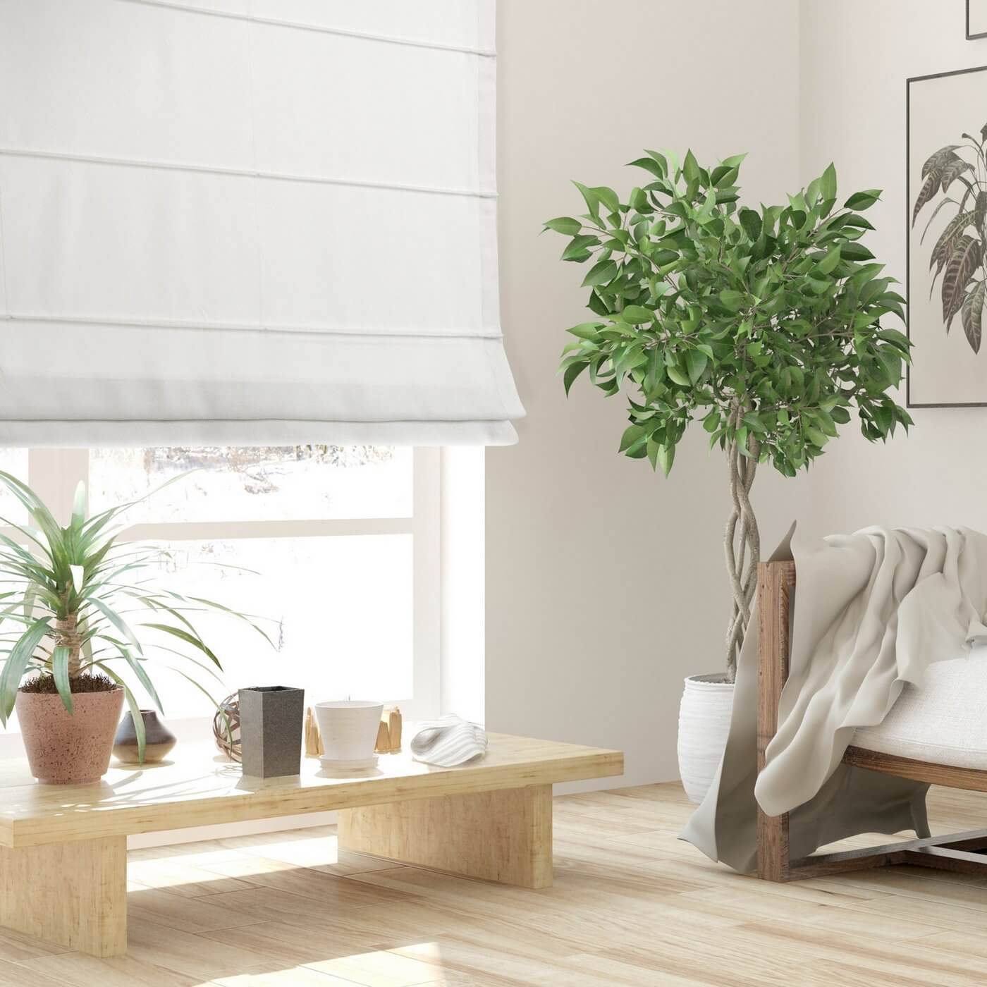 kuchnia otwarta eurofirany