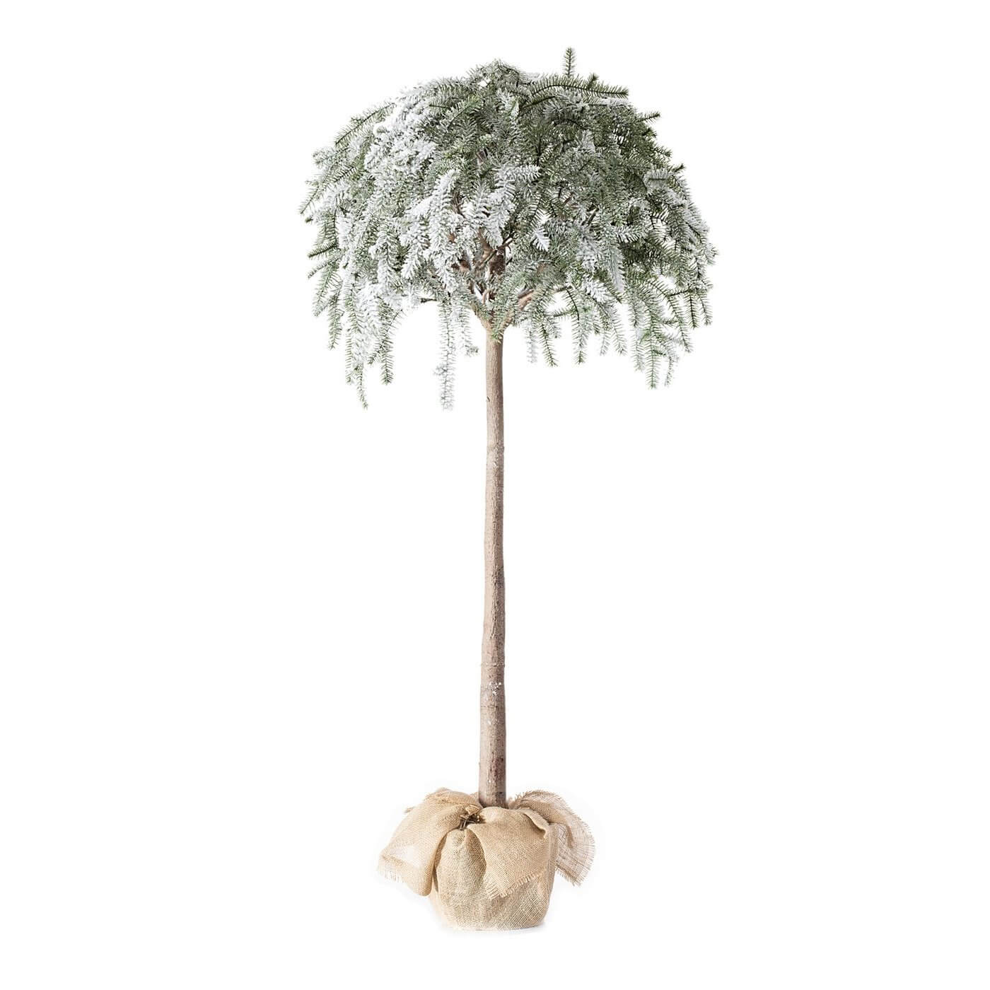 dekoracje świąteczne eurofirany.com.pl