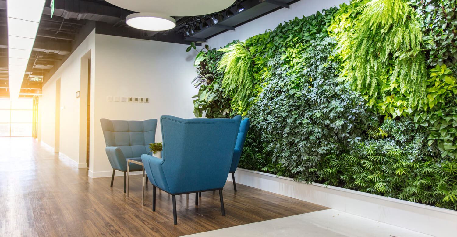 biophilic design