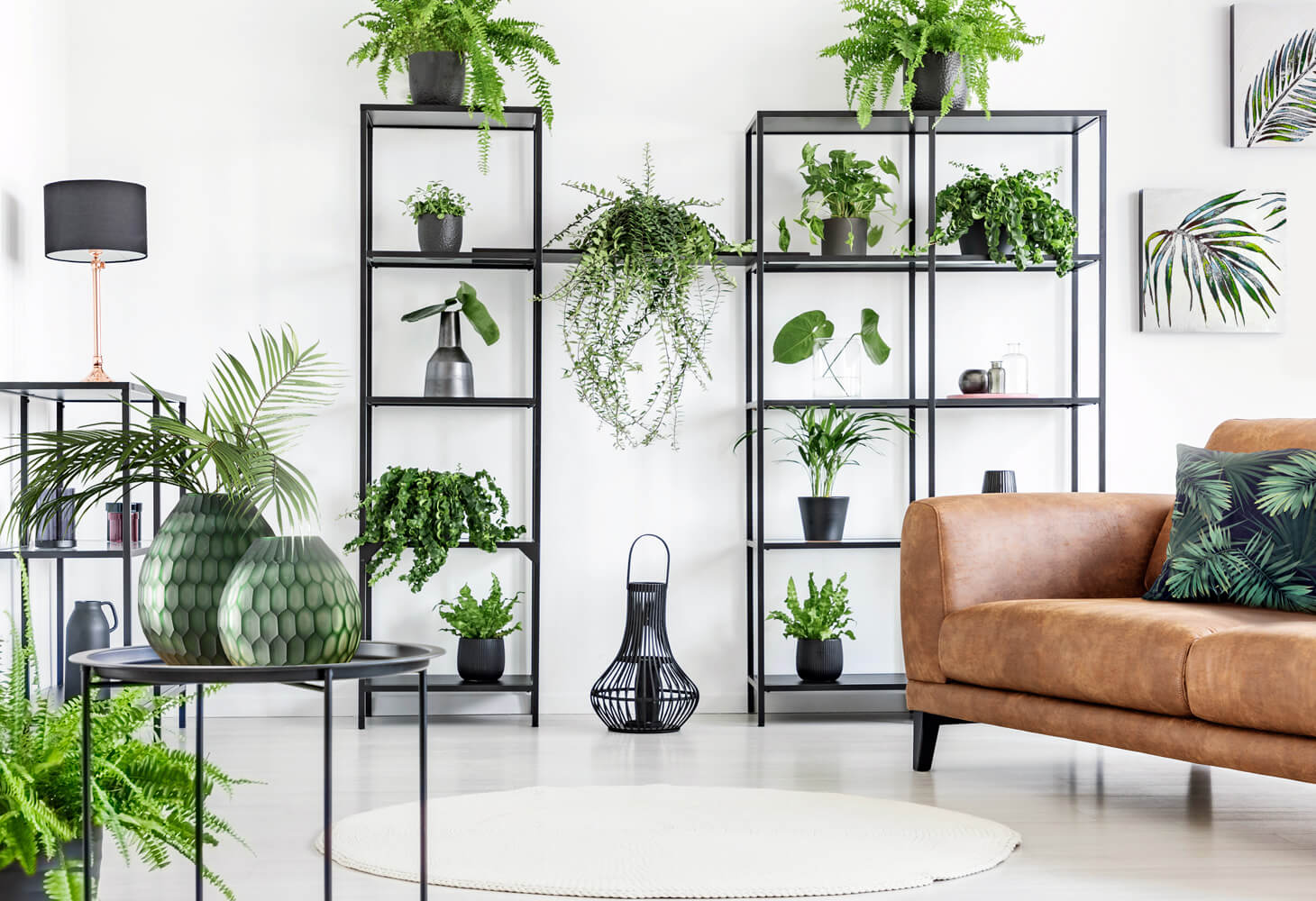 co postawic na polce