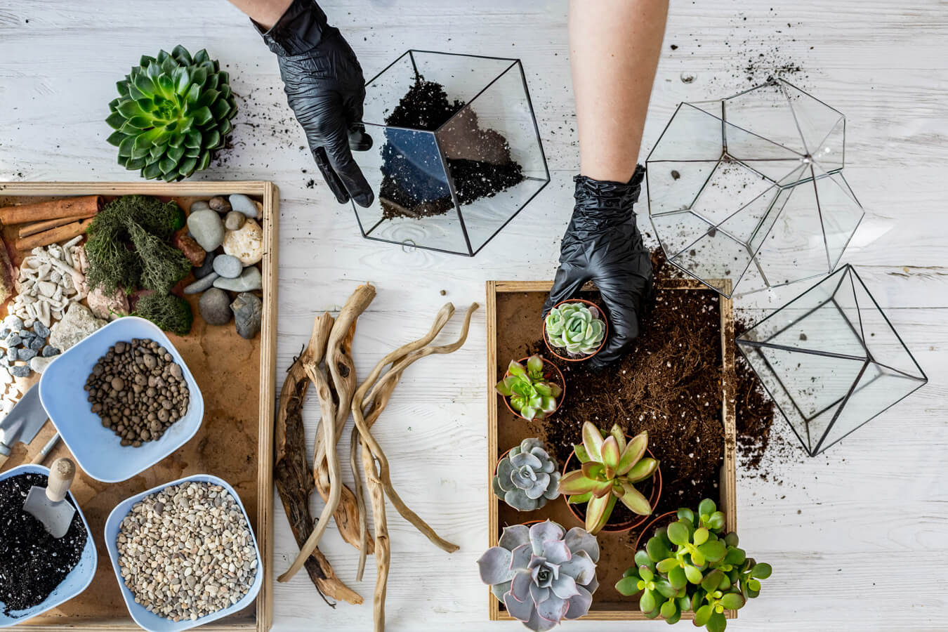 jak zrobić ogród w szkle