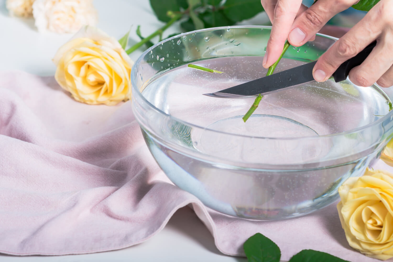 jak dbać o róże w wazonie