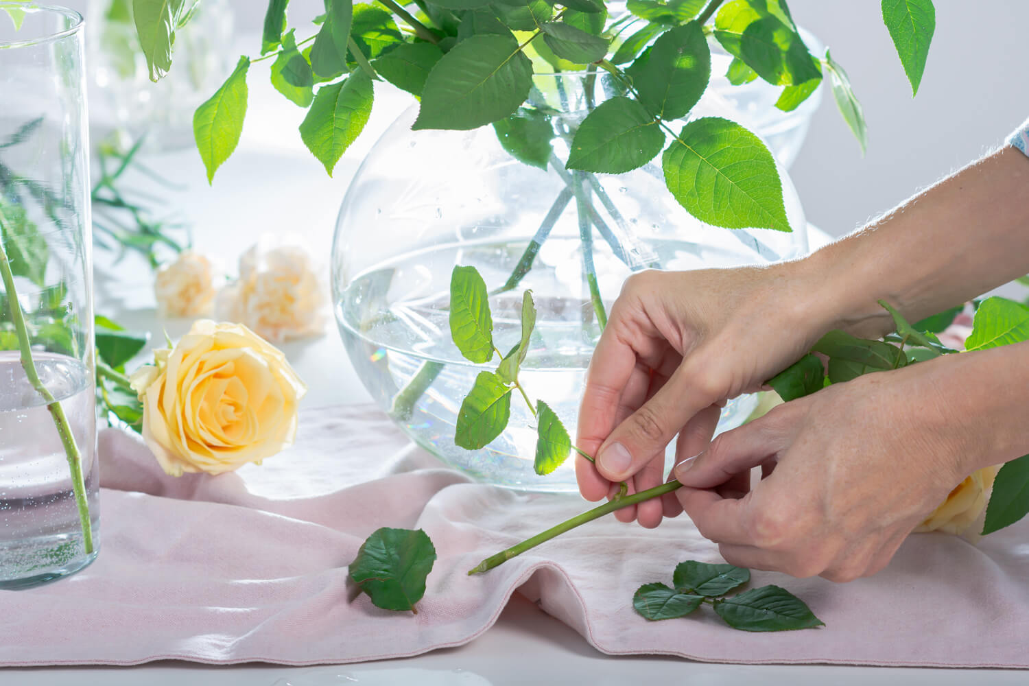 jak dbać o róże w wazonie