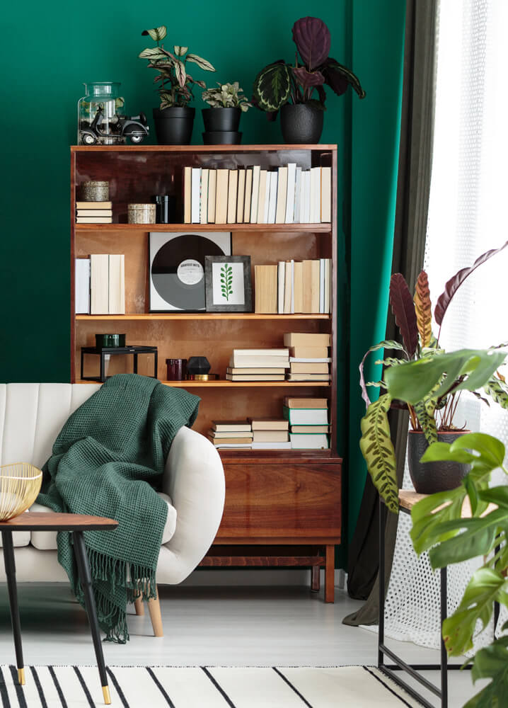 co wstawić do witryny w salonie