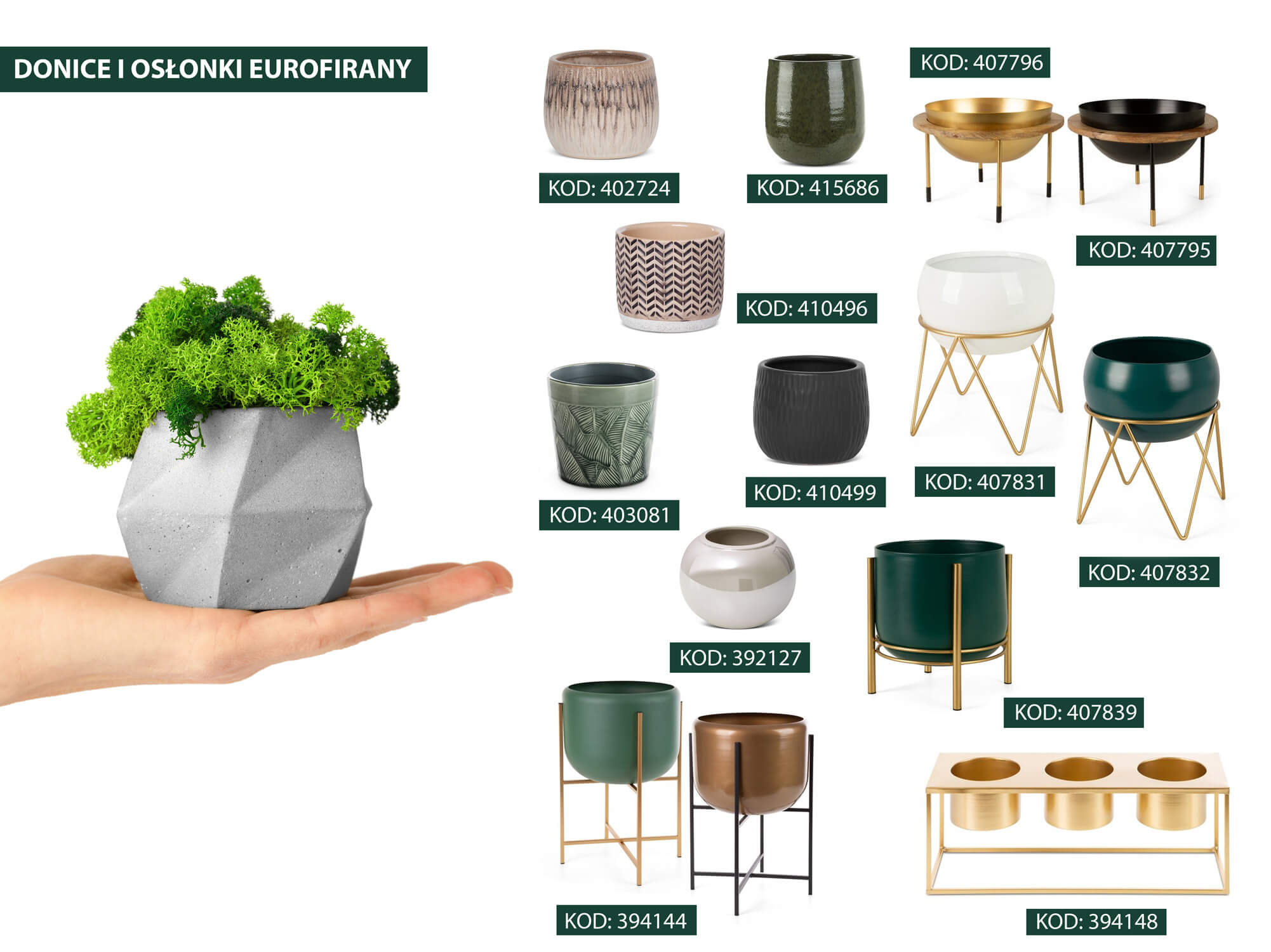 jak wyhodować mech w doniczce