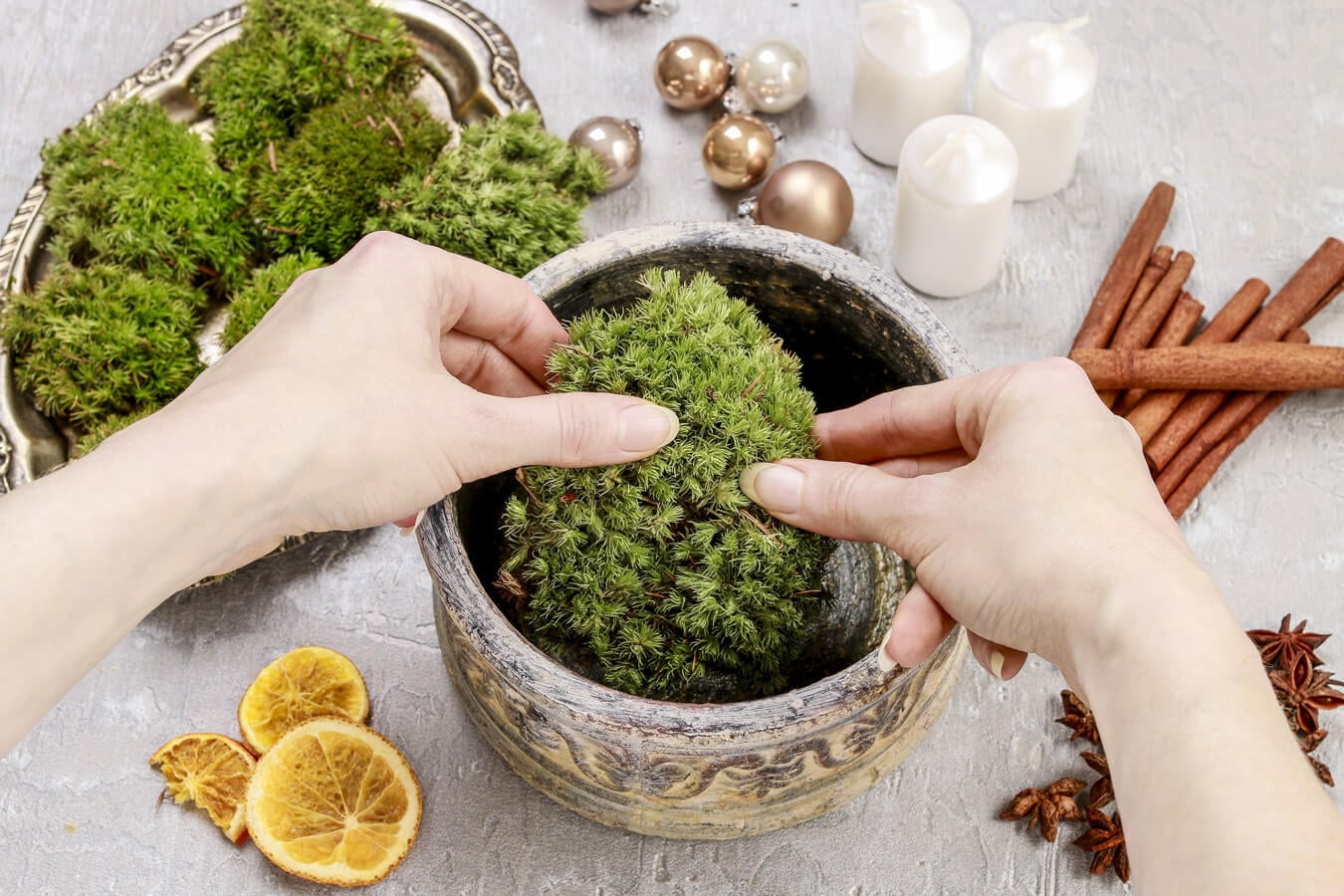 mech chrobotek w doniczce jak zrobić