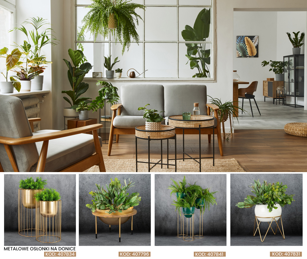 jak wyeksponować kwiaty w domu