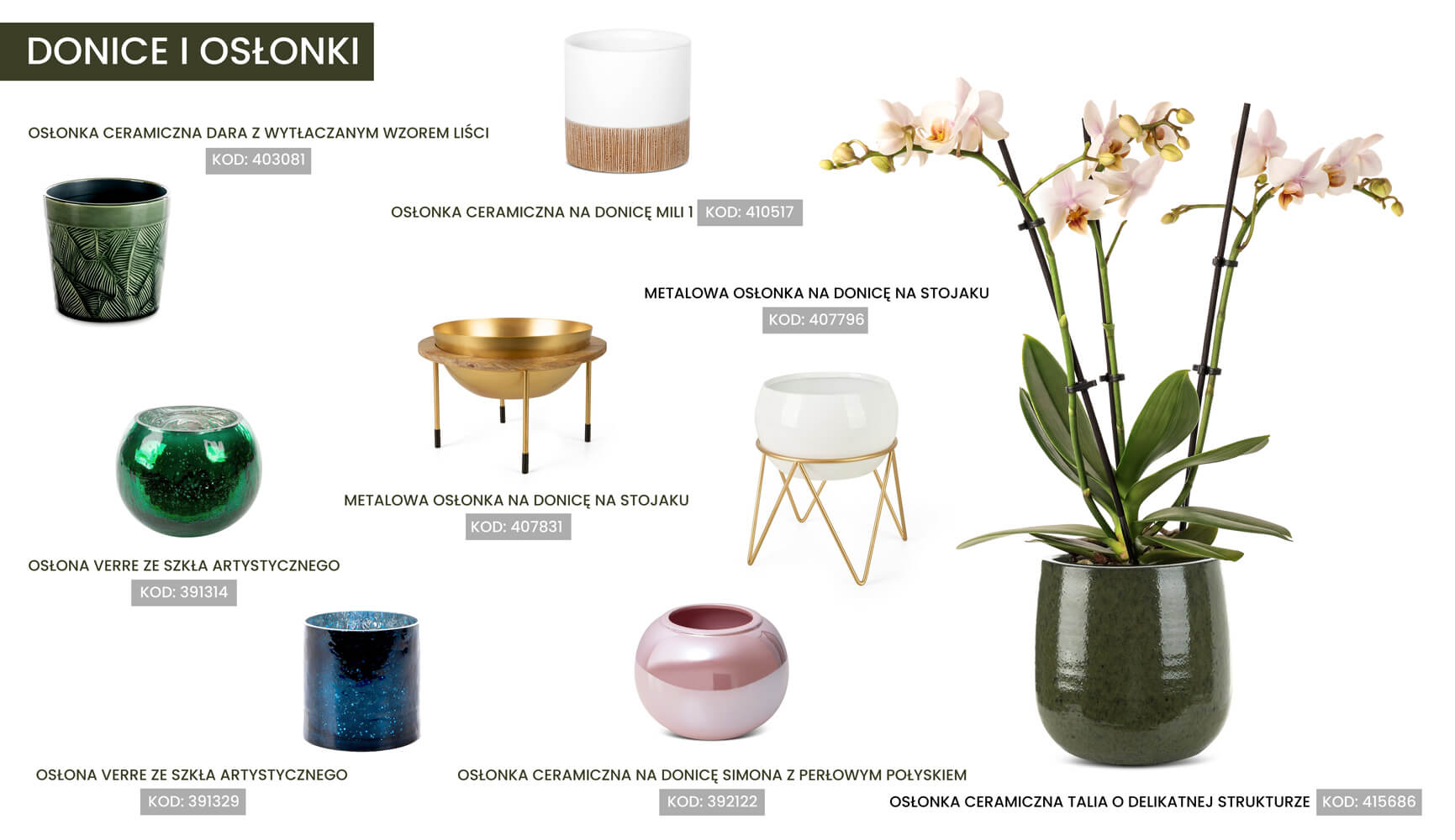 jaka doniczka do storczyka