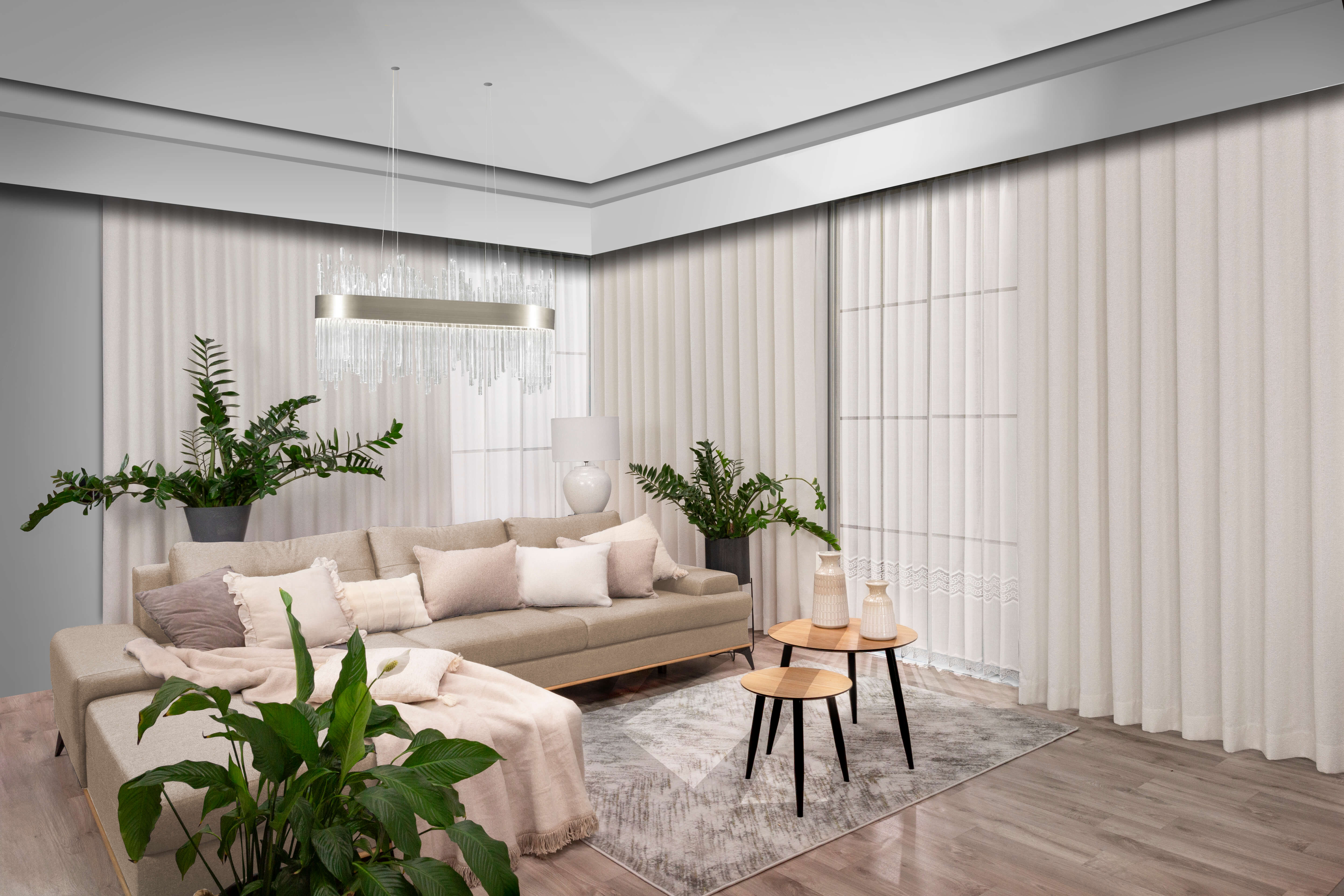 zamiokulkas jaka doniczka