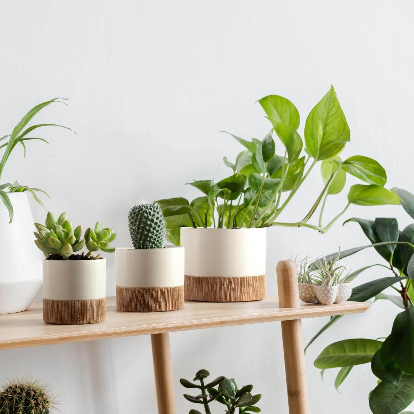 osłonki na donice wiosenne