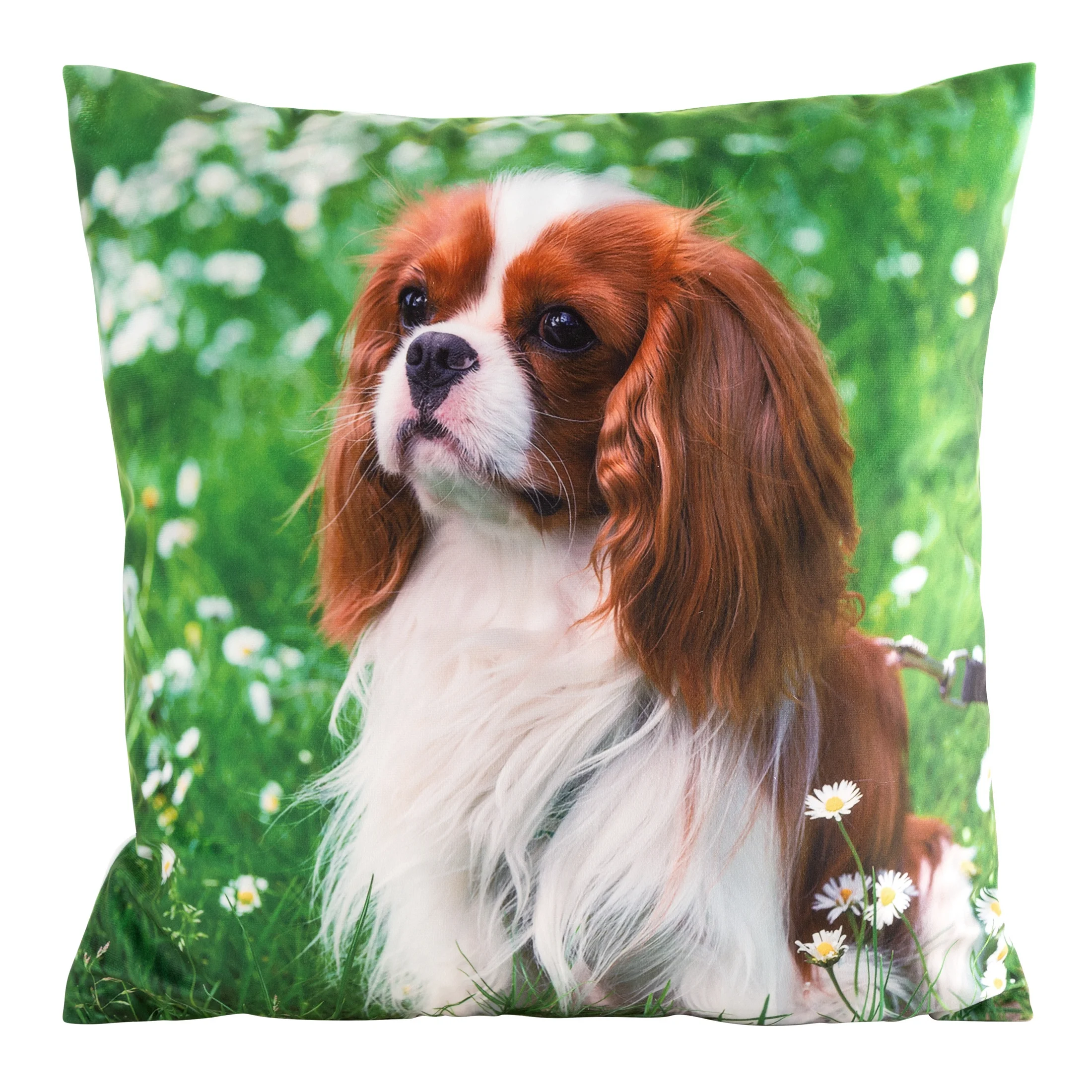 Poszewka na poduszkę 45x45 cm welwetowa zielono, biała zdobiona nadrukiem psa ANIMAL | eurofirany