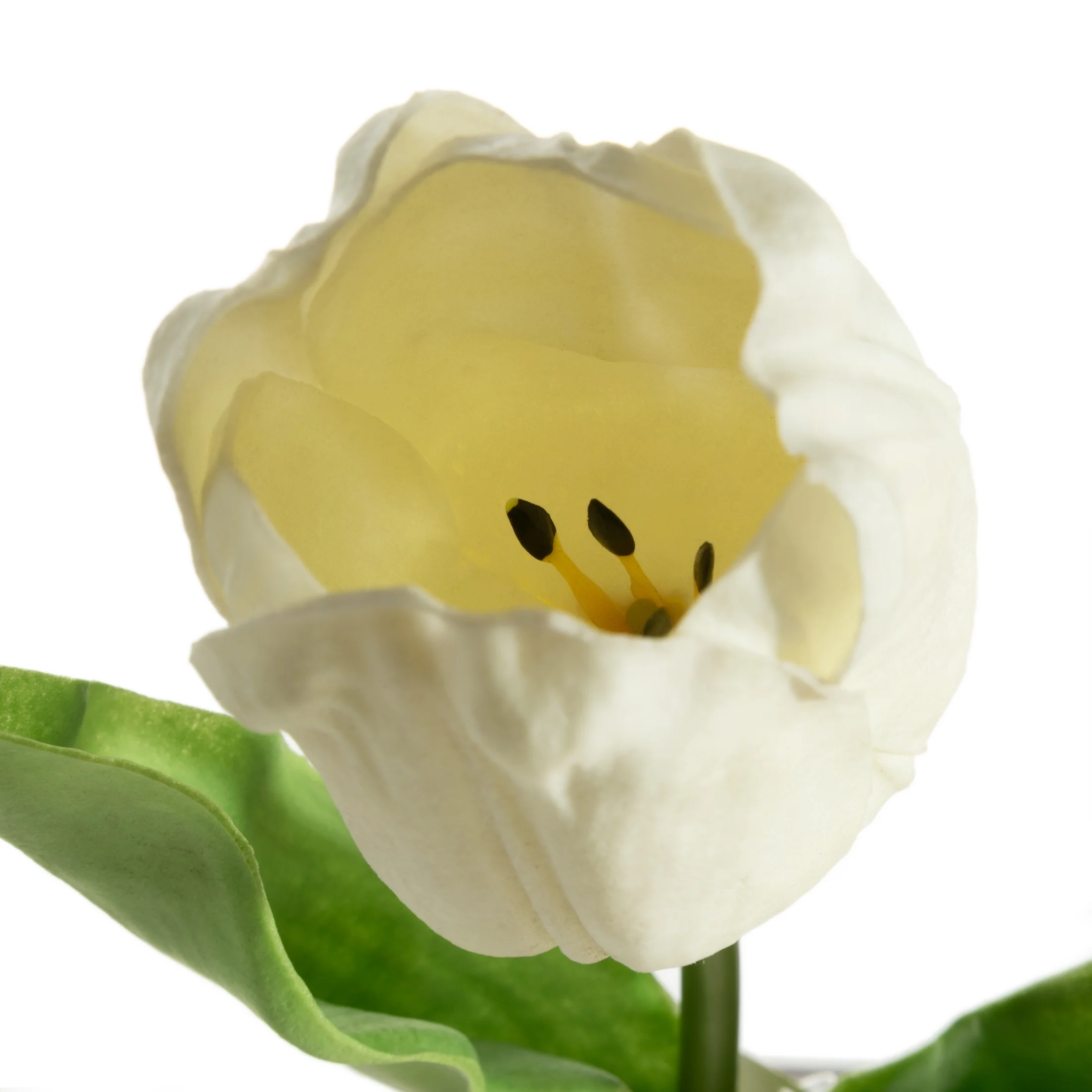 Kwiat sztuczny tulipan biały 56 cm