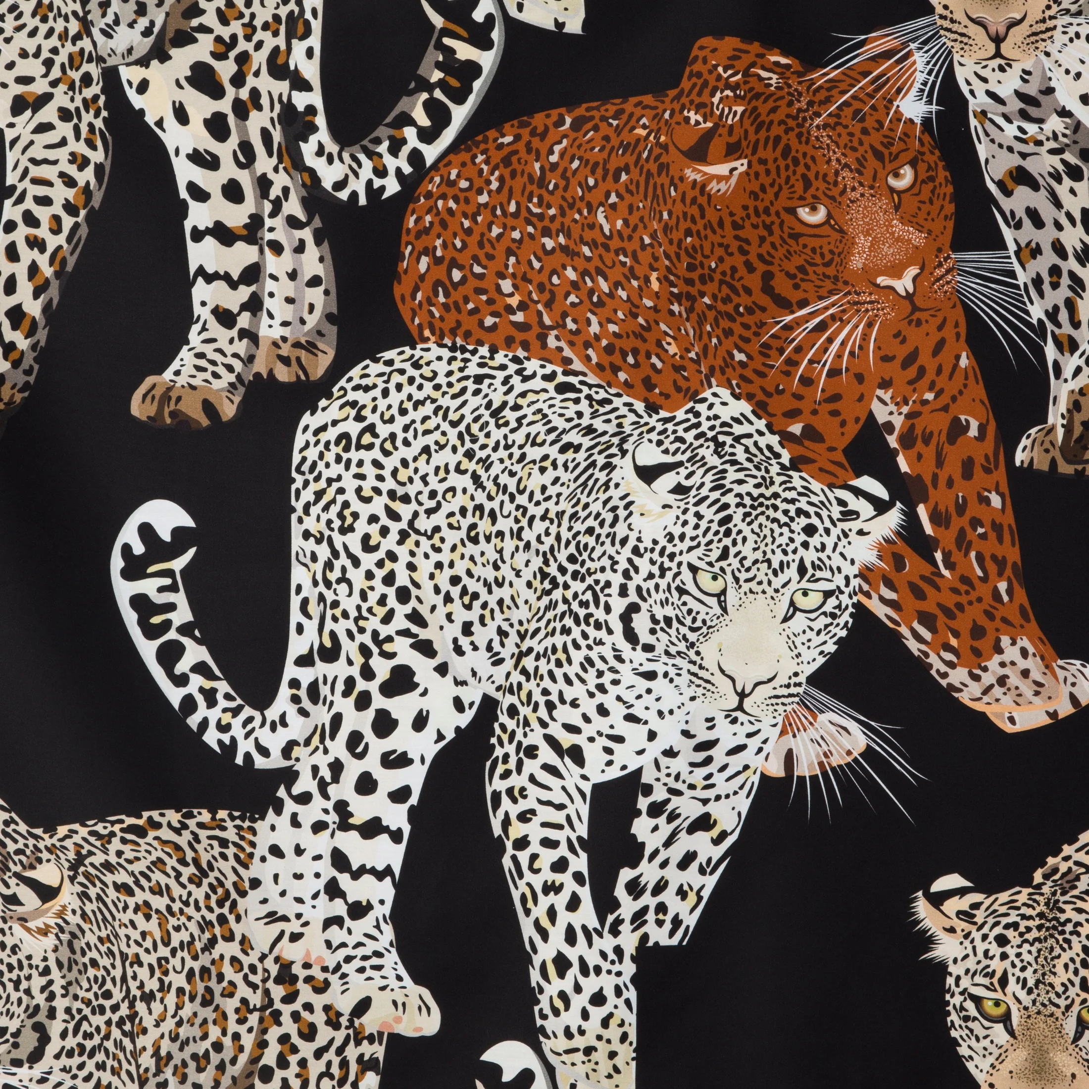 Pościel 220x200 cm komplet 3 częściowy z satyny bawełnianej kolor czarny, beżowy z wzorem zwierzęcym DIVA 16 Diva Line