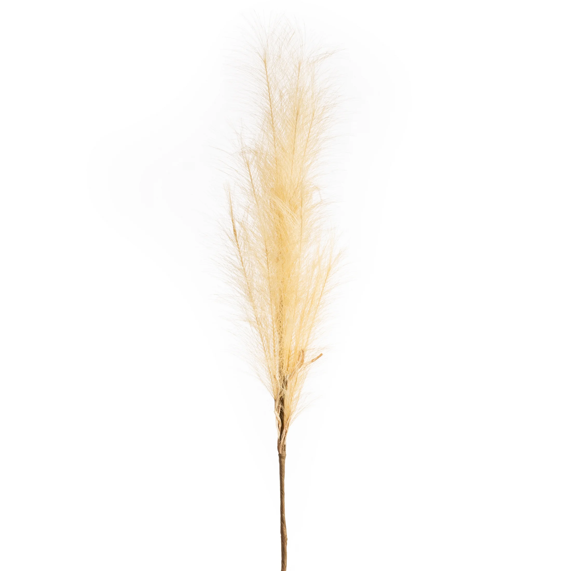 Gałązka sztuczna trawa pampasowa beżowa z ozdobnym pióropuszem 100 cm