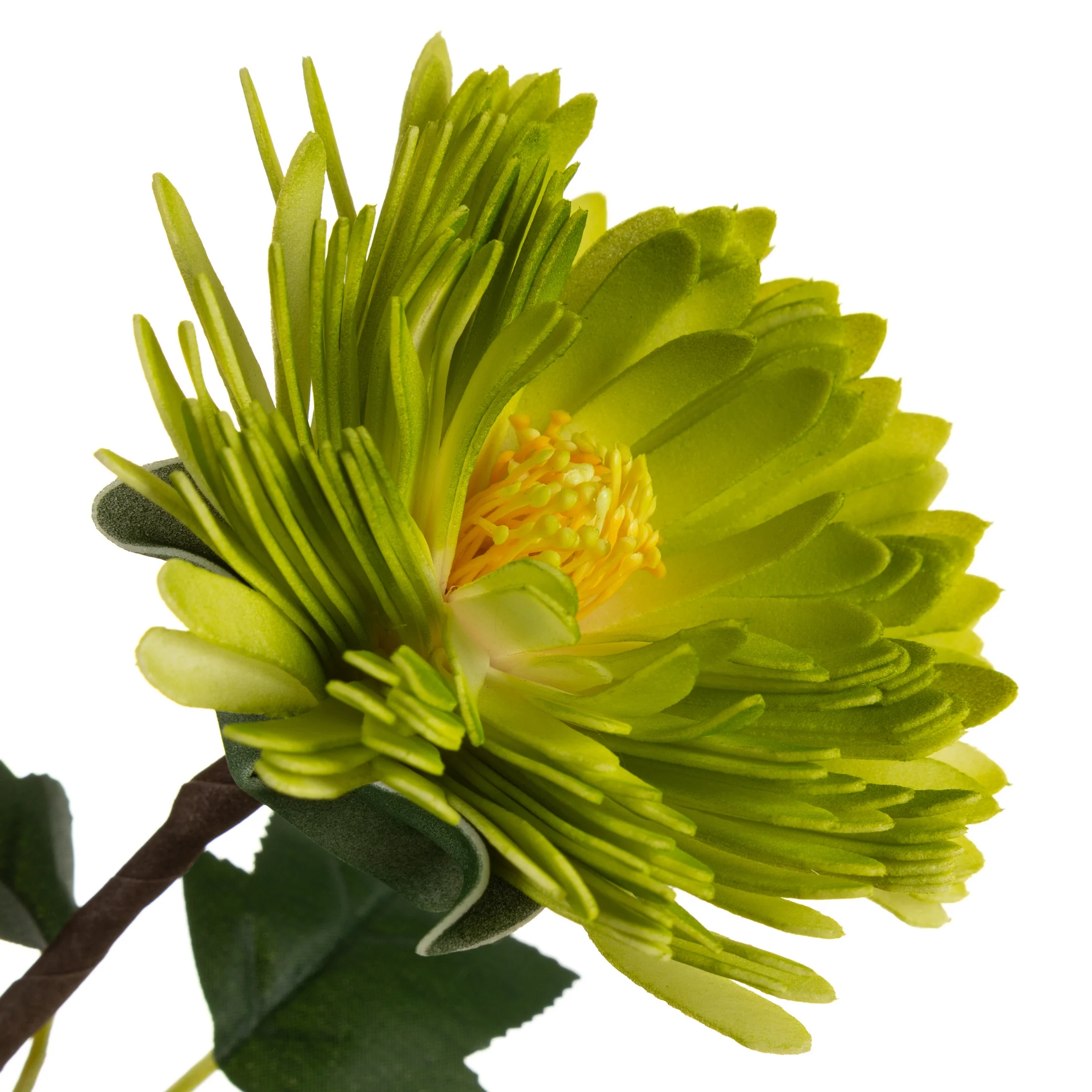Kwiat sztuczny margaretka zielona z plastycznej pianki foamiran 76 cm