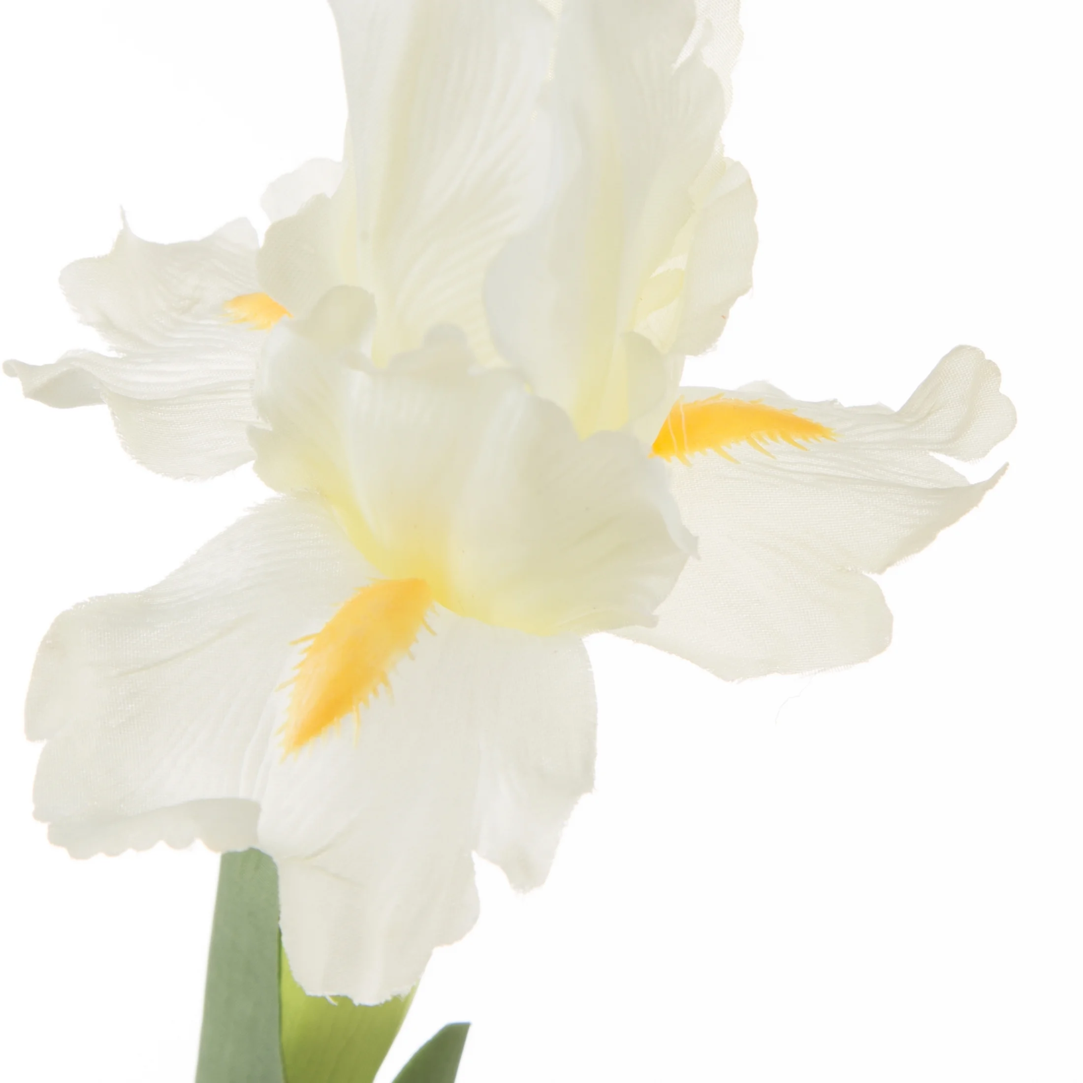 Kwiat sztuczny kremowy irys 70 cm