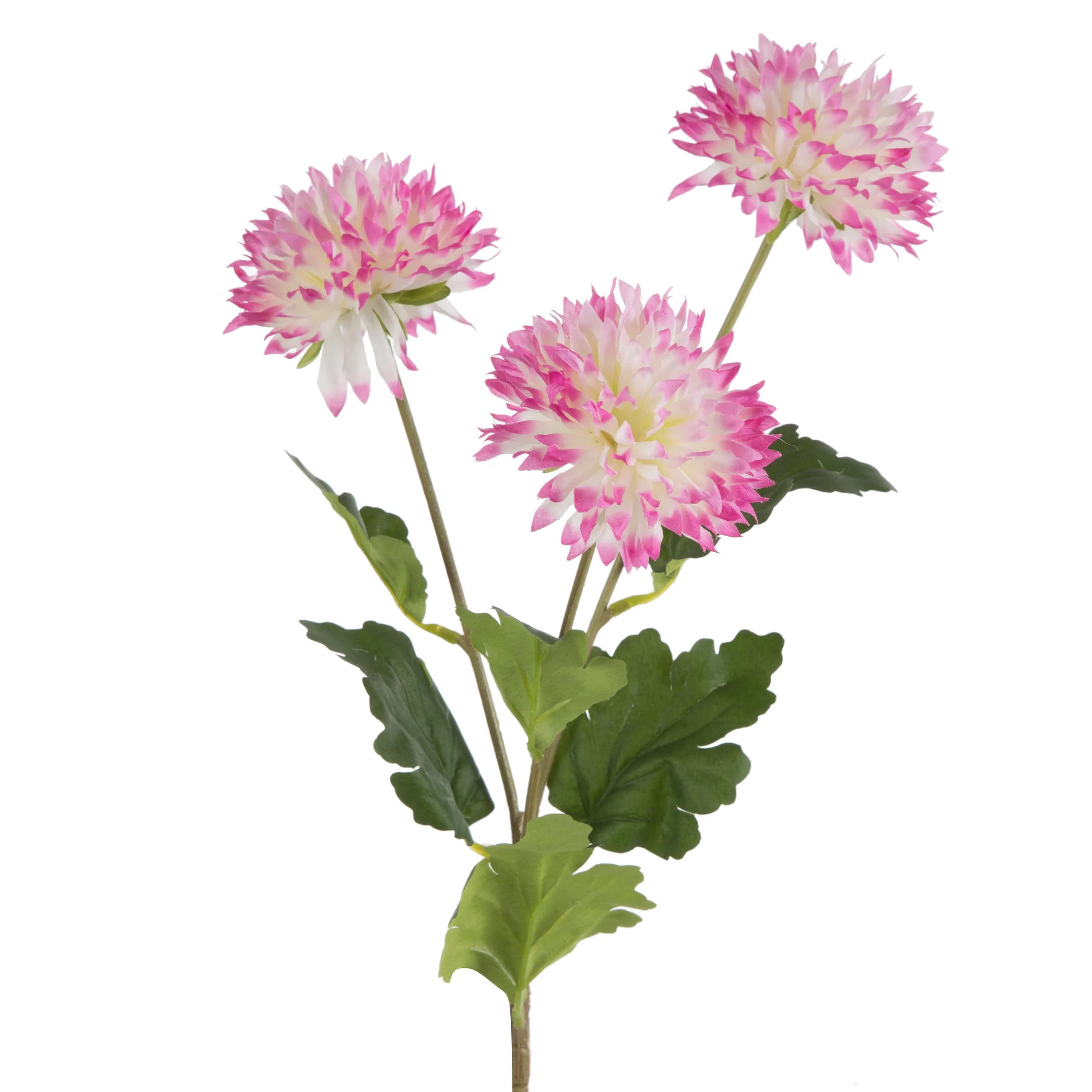 Kwiat sztuczny chryzantema amarantowo, kremowa 63 cm