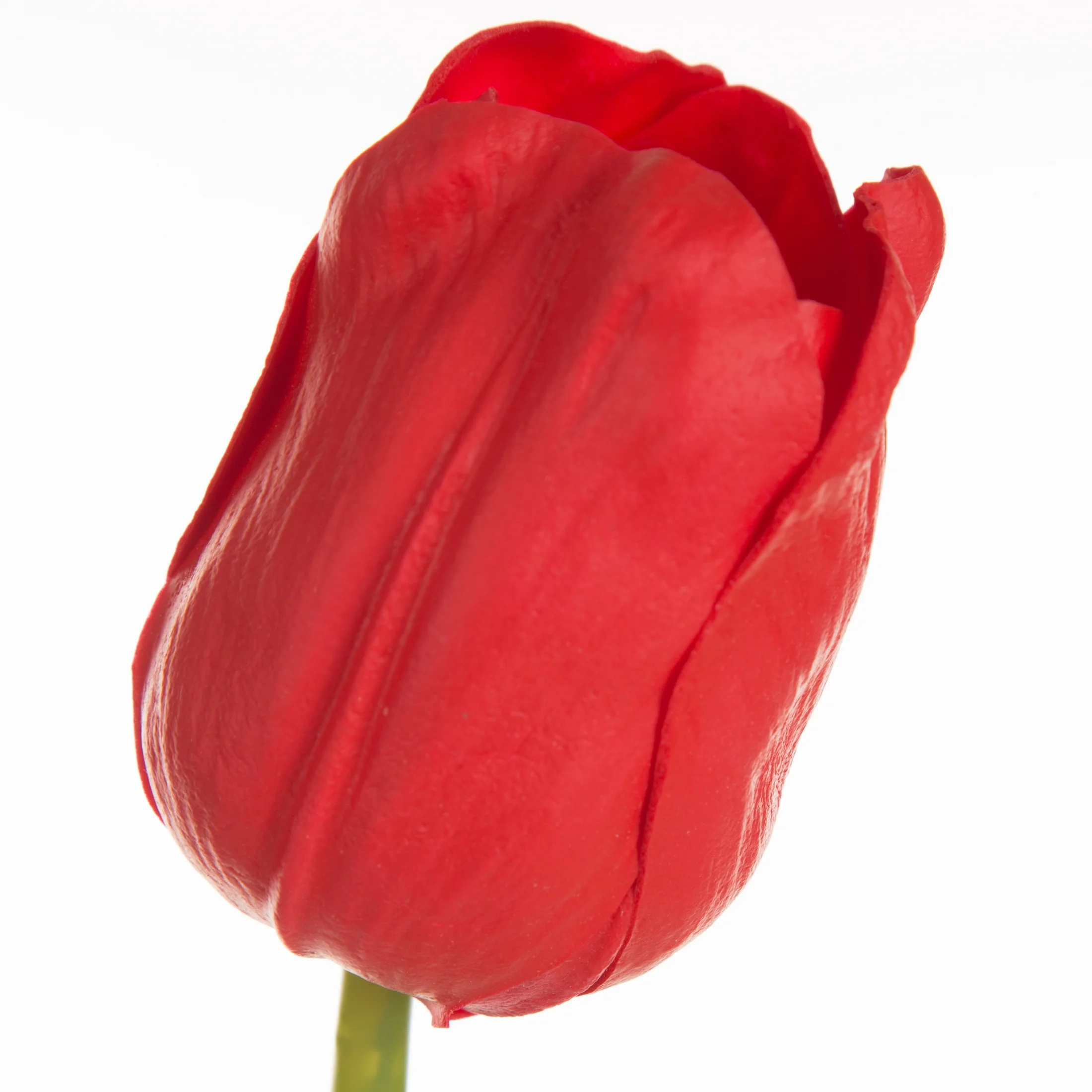 Kwiat sztuczny tulipan czerwony 56 cm