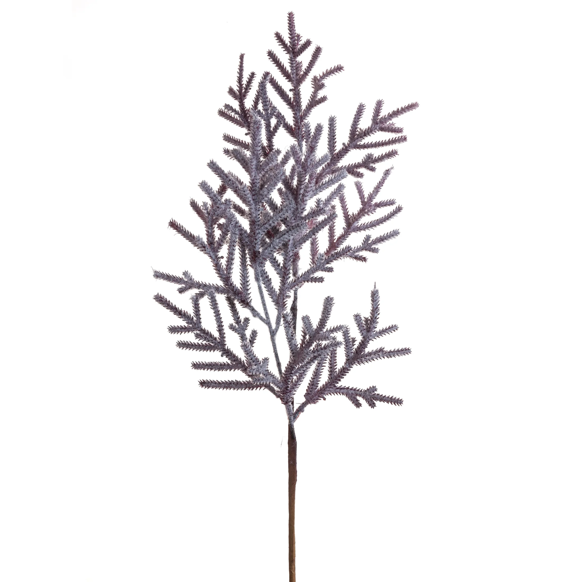 Zimowa gałązka z efektem szronu