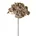 Kwiat sztuczny koper polny ciemnobeżowy 60 cm
