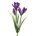 Kwiat sztuczny krokus fioletowy 30 cm