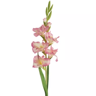 Kwiat sztuczny mieczyk fioletowo, kremowy 85 cm