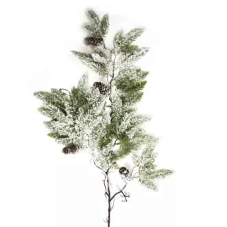 Zimowa gałązka ośnieżona z szyszkami