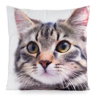 Poszewka na poduszkę 45x45 cm welwetowa biało, beżowa zdobiona nadrukiem uroczego kota ANIMAL