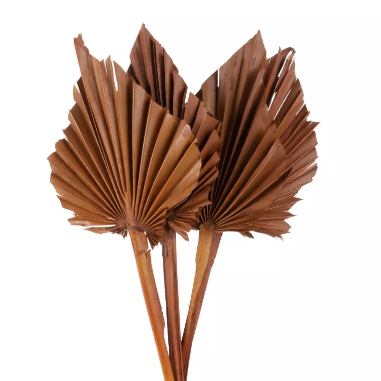 SUSZONE LIŚCIE PALMOWE, naturalny susz 4 szt