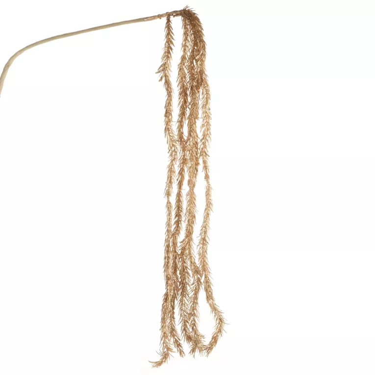 Zimowa gałązka w subtelnie lśniącym szampańskim kolorze