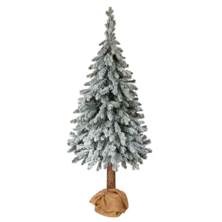 Choinka drzewko na pniu ŚWIERK OSZRONIONY - kolekcja Świerków Żywieckich