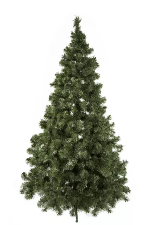 Choinka -  zielone drzewko na stojaku