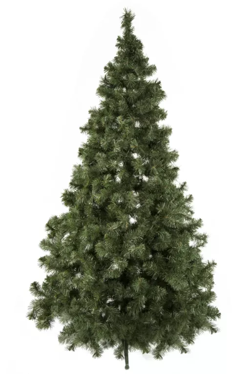 Choinka -  zielone drzewko na stojaku