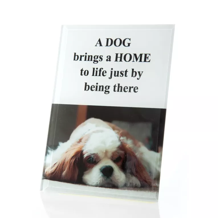 Obrazek dekoracyjny PRINT z napisami