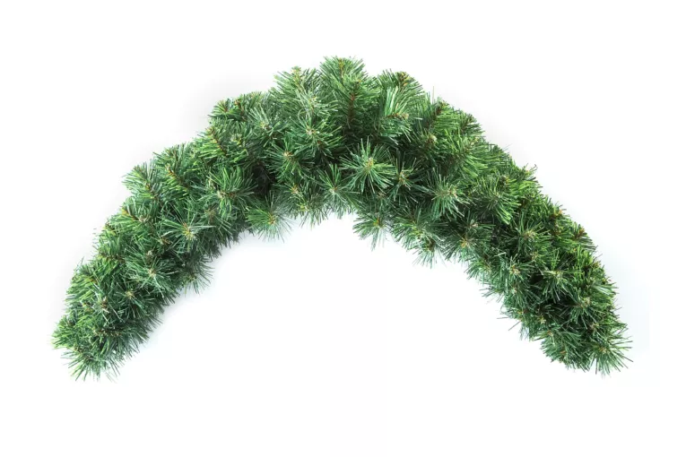 Rogal świąteczny ŚWIERK GÓRSKI