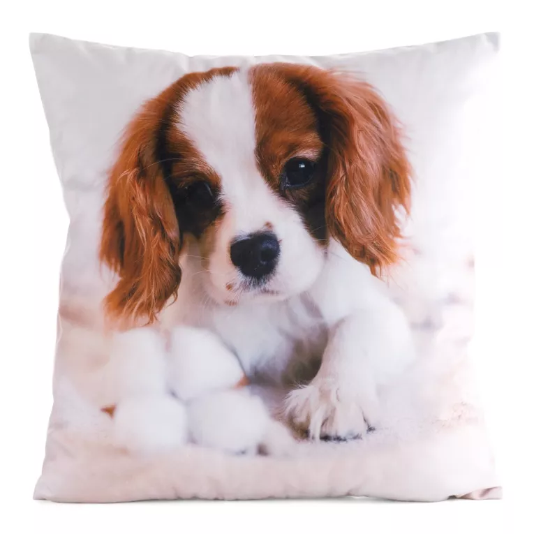 Poszewka na poduszkę 45x45 cm welwetowa biało, brązowa zdobiona nadrukiem psa ANIMAL