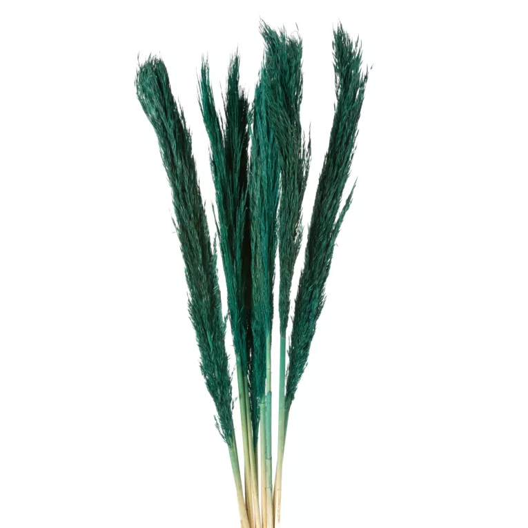 BUKIET SUSZONYCH TRAW BABALA, naturalny susz pęczek 10 szt