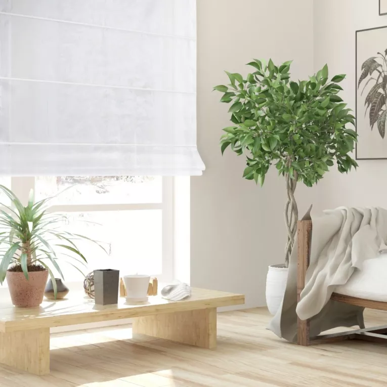 Roleta rzymska biała z gładkiej matowej etaminy o naturalnym splocie