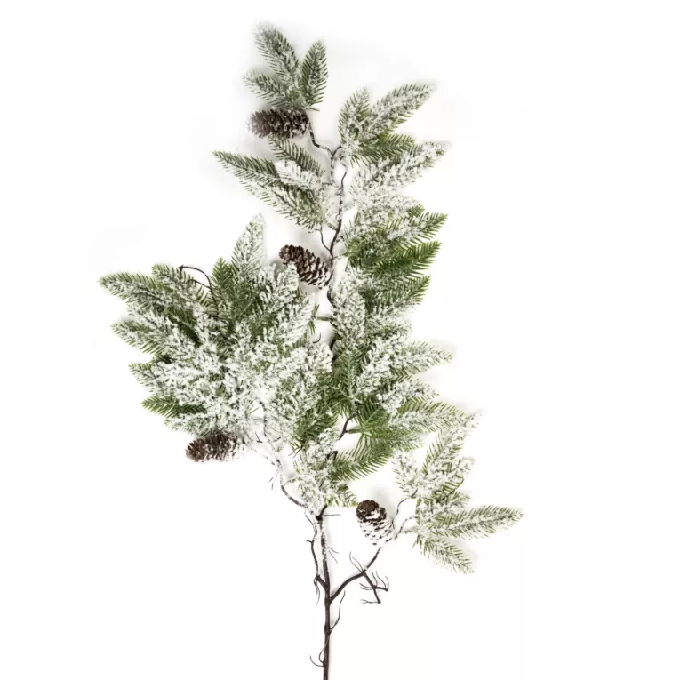 Zimowa gałązka ośnieżona z szyszkami