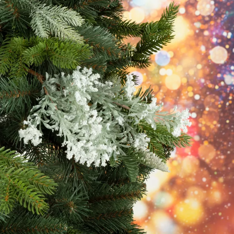 Zimowa gałązka z mrożonymi listeczkami