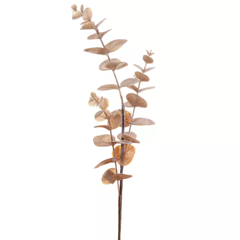 Zimowa gałązka z mrożonymi listeczkami