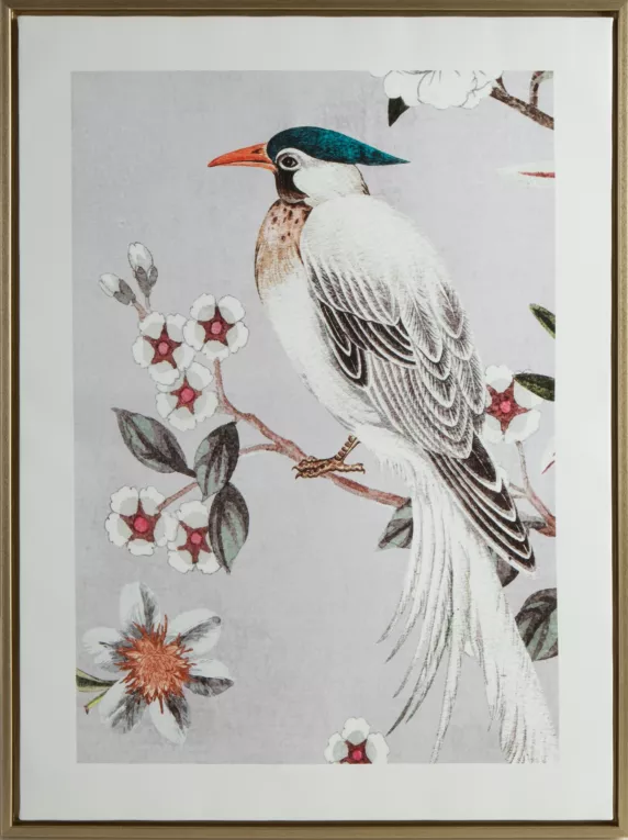 Obraz PARADISE 2 nadruk na płótnie szponiak przylądkowy pośród gałązek jabłoni