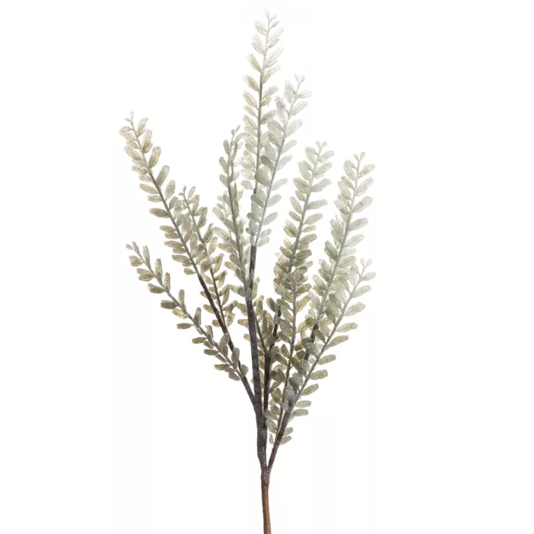 Zimowa gałązka z mrożonymi listeczkami