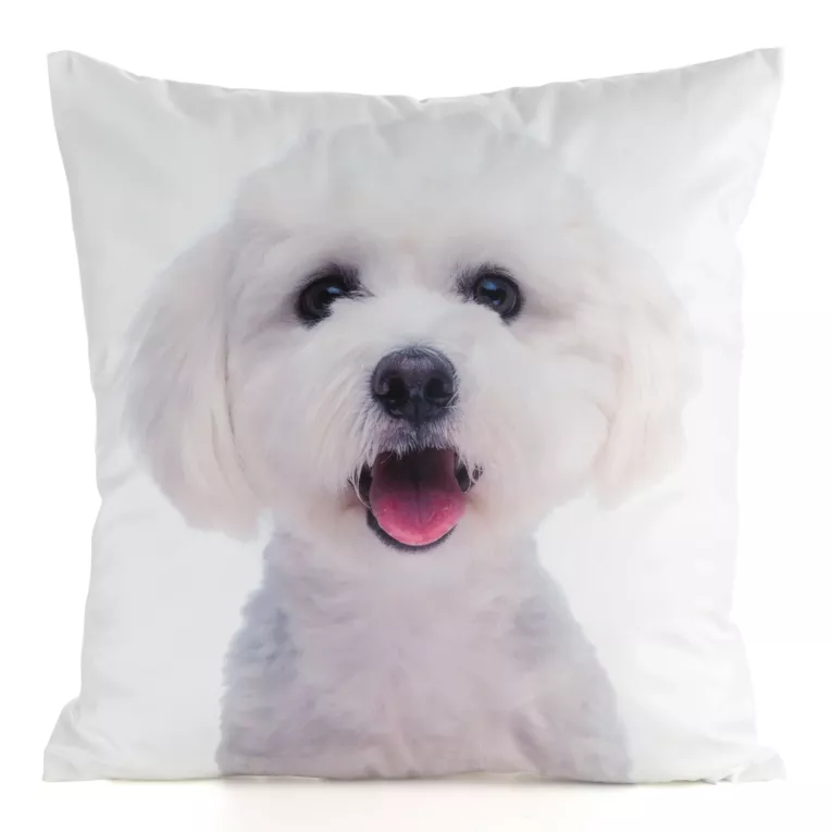 Poszewka welwetowa ANIMAL zdobiona nadrukiem psa