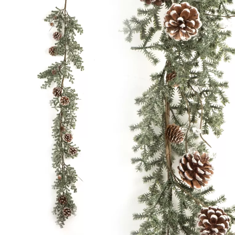 Zimowa gałązka lekko zmrożona z szyszkami