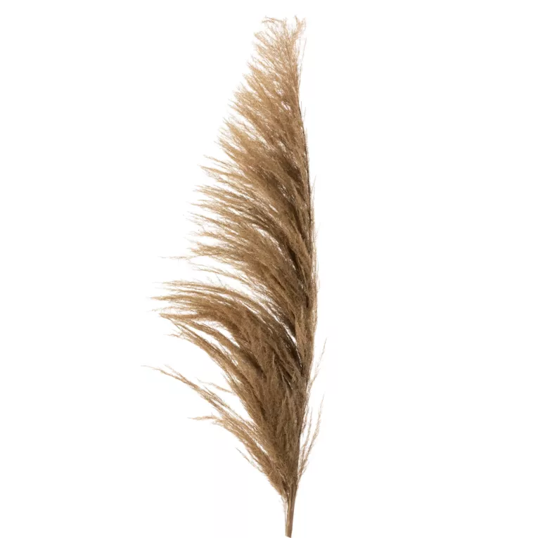 SUSZONA TRAWA PAMPASOWA,  naturalny susz