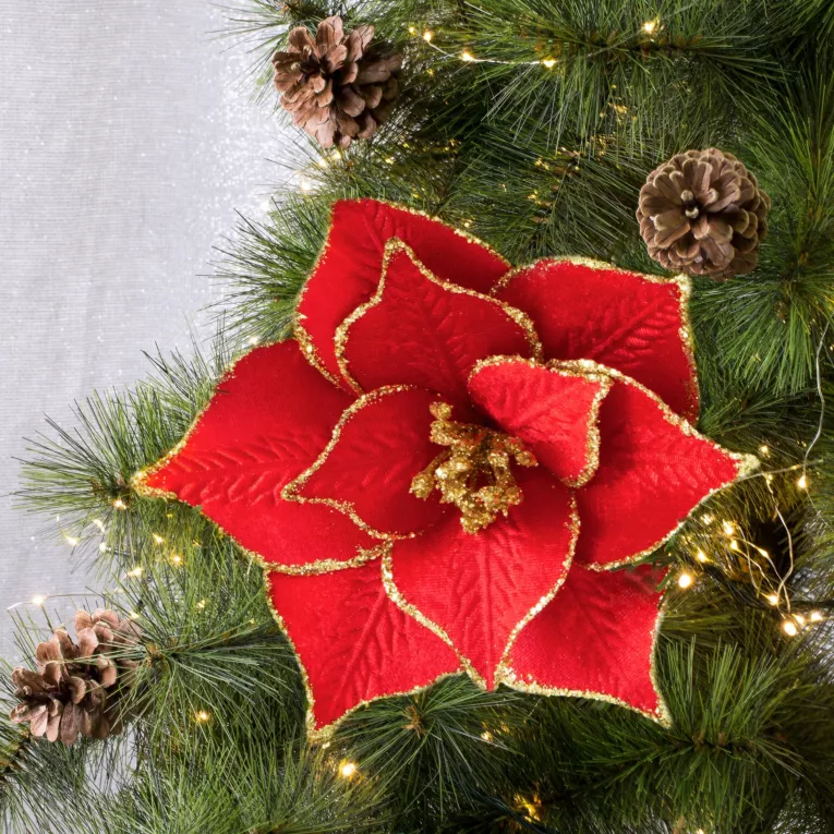 Świąteczny kwiat dekoracyjny GWIAZDA BETLEJEMSKA z welwetu ze złotymi brzegami