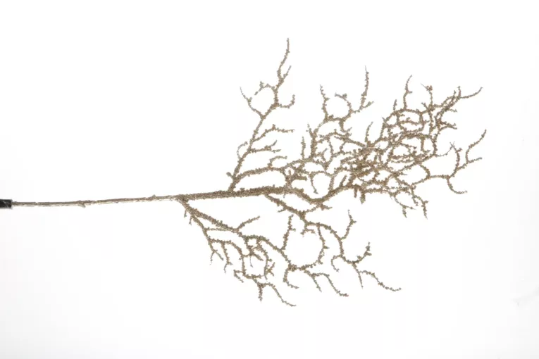 Świąteczna gałązka z drobnymi kuleczkami